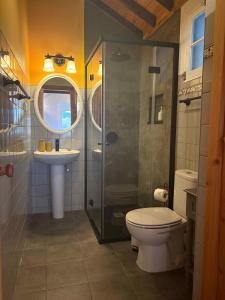 a bathroom with a shower and a toilet and a sink at Casa do Laureano in Santo Amaro +10 photos