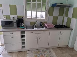 a kitchen counter with a sink and a microwave at Villa Greg in Bouillante