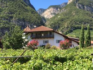 una casa in una valle con montagne sullo sfondo di Ferienwohnung Eichnerhof a Magrè all'Adige