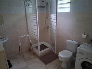 a bathroom with a shower and a toilet at Villa Greg in Bouillante +12 photos