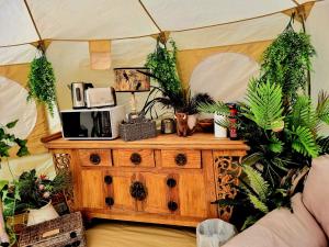 a room with a wooden table with plants on it at Wild Retreat in Cawston +28 photos