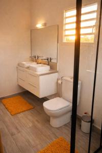 a bathroom with a toilet and a sink and a mirror at Villa Belle Ile en Mer in Capesterre