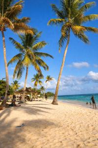 a group of palm trees on a beach with the ocean at Villa Belle Ile en Mer in Capesterre