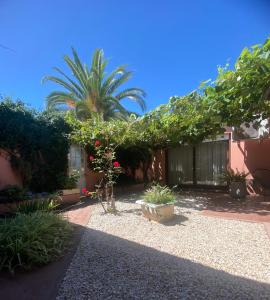 a courtyard with a palm tree and a house at Casa Arenales in Chascomús