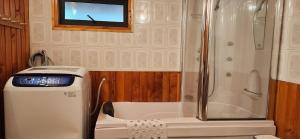 a bathroom with a shower and a toilet and a sink at casa caburgua en cerro in Caburgua