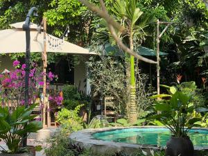 a garden with a swimming pool and an umbrella at Tam Coc Thoms House in Ninh Binh
