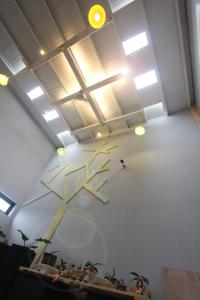 Foto sihtkohas Budai asuva majutusasutuse Light Shadow galeriist