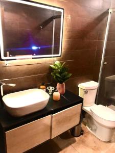 a bathroom with a sink and a toilet at Alojamiento tipo Cabaña, rodeado de Bosque in Mexico City +56 photos