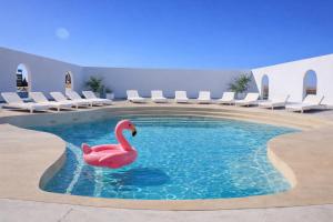 a pink swan in the water in a pool at Tegri Gobi Resort 