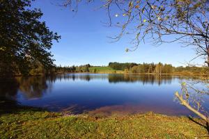 a view of a large lake with trees in the background at Gasthof "Zum Strauß" in Wildsteig