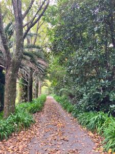 a path through a forest with leaves on the ground at Hurstmere Cottage, Matakana in Matakana