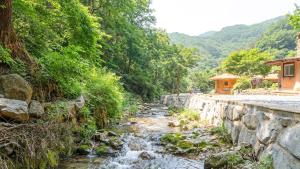 a river next to a stone wall with trees at Mungyeong Between Mountains Pet Pension in Mungyeong