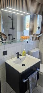 a bathroom with a sink and a mirror at Ferienhaus Kiara in Feldberg