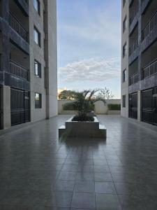 a courtyard of a building with a potted plant at Serene Studio near UN headquarters and Gigiri in Ruaka