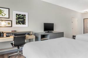 a room with a bed and a desk and a tv at Country Inn & Suites by Radisson, Georgetown, KY in Georgetown