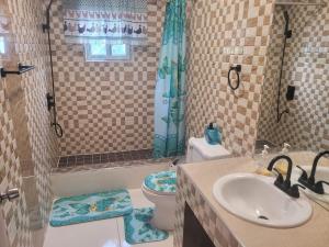 a bathroom with a sink and a toilet and a shower at Enchanted Guest House & Hostel in Ocho Rios +20 photos