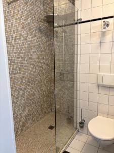 a bathroom with a glass shower with a toilet at Ferienwohnung Alva Hinterzarten in Hinterzarten +10 photos