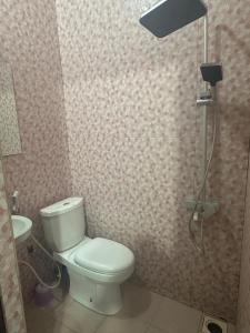 a bathroom with a toilet and a shower at Spice Garden Lodge B&B in Zanzibar City