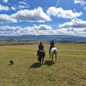 three people riding horses in a field with a dog at Parciau barn in Clyro