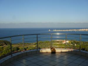 a cat sitting on a balcony looking at the ocean at Charly Point Villa in Methoni