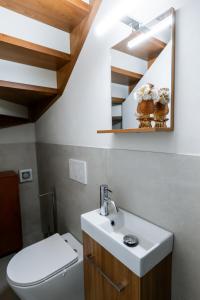 a bathroom with a sink and a toilet and a mirror at Lo scrigno di Camilla in Capannori +14 photos