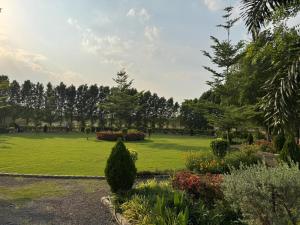 a park with a green lawn with trees and bushes at Silver Green Resort in Gumgaon