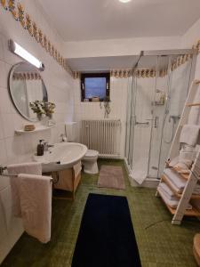a bathroom with a shower and a sink and a toilet at Gemütliche Ferienwohnung mit Blick ins Grüne in Wadern +8 photos