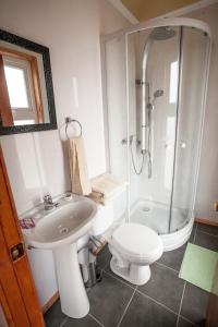ein Bad mit einem Waschbecken, einer Dusche und einem WC in der Unterkunft Cordillera Azul in Puerto Natales