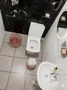 a bathroom with a white toilet and a sink at Hotel Cloud Inn in New Delhi
