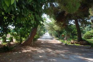 Zahrada ubytování Terrauzza Sul Mare di Renata Emmolo