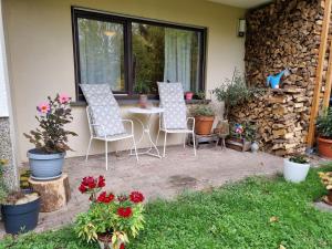 a patio with two chairs and a table and some plants at Gemütliche Ferienwohnung mit Blick ins Grüne in Wadern