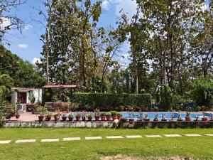 a garden with potted plants in a park at Chandrakanta farm stay in Lucknow