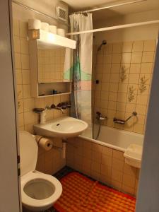 a bathroom with a toilet and a sink and a shower at Leissi2025 in Leissigen