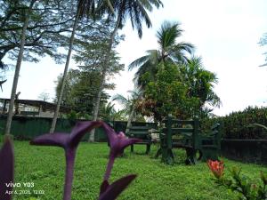 a green park with a bench and palm trees at New Olina Gest and Restaurant in Wellawaya