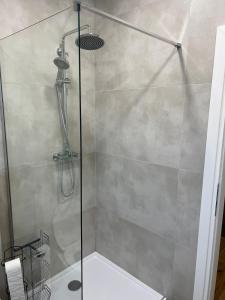 a shower stall with a glass shower door at Apartman Lea in Sibinj