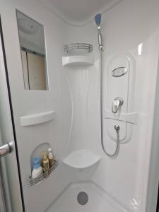 a small bathroom with a toilet and a mirror at hostel 丹鶴 in Shingū