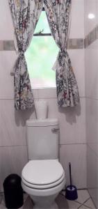 a bathroom with a toilet and a window at Rosy Palm Sunrise in Upington