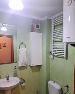 a bathroom with a sink and a toilet and a mirror at Sunny place in Podgorica +7 photos