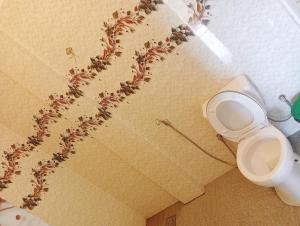 a bathroom with a toilet with a plant on the wall at Mano Holiday Guest House in Kalkudah