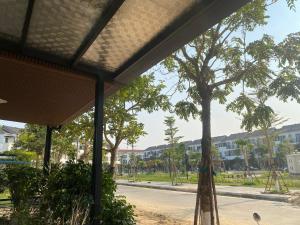 a view of a park with a tree and buildings at DeHa Homestay in Hue