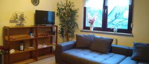a living room with a blue couch and a tv at Otto`s Ferienwohnung in Biedenkopf