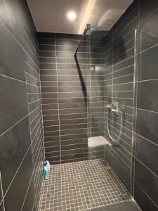a bathroom with a shower with black tiled walls at Charmante chambre Chalet in Crozet