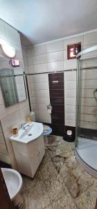 a bathroom with a toilet and a sink and a shower at Apartament Vasy in Timişoara