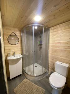 a bathroom with a shower and a toilet and a sink at Trijų namelių uostas in Dreverna