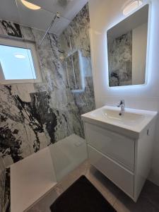 a bathroom with a sink and a mirror at Flexi flat Gosselies Providence 11 in Charleroi