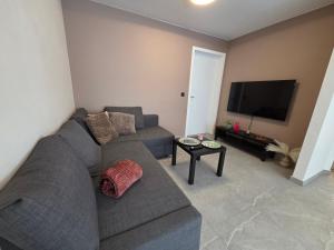 a living room with a gray couch and a flat screen tv at Flexi flat Gosselies Providence 11 in Charleroi