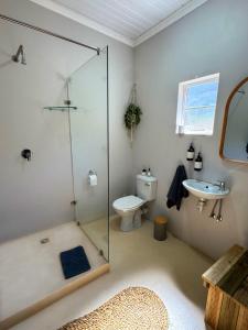 a bathroom with a shower and a toilet and a sink at Toorwater Spa in Uniondale +68 photos