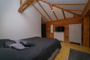 a bedroom with a bed and a television in it at Smeštaj Iver in Mokra Gora