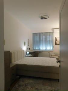 a bedroom with a large bed and a window at Cetinjska apartment in Belgrade