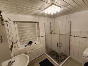 a bathroom with a shower and a sink at Altenauer Kaffeehaus in Altenau +26 photos